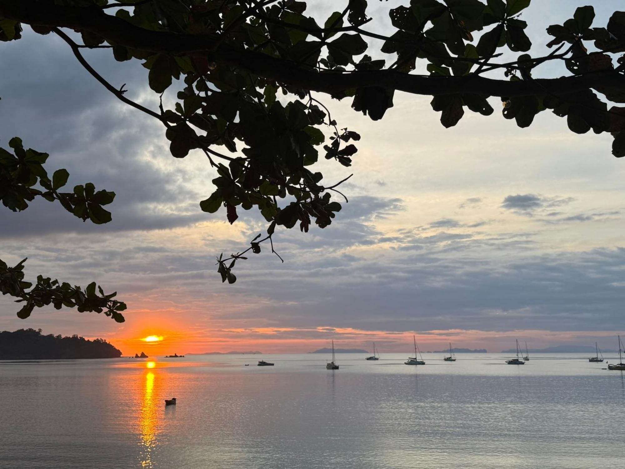 Sunny Cove Beach Resort Koh Phayam رانونغ المظهر الخارجي الصورة